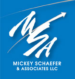 MSA Expert Associates